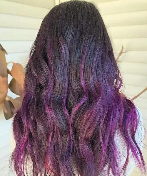 orchid-highlights